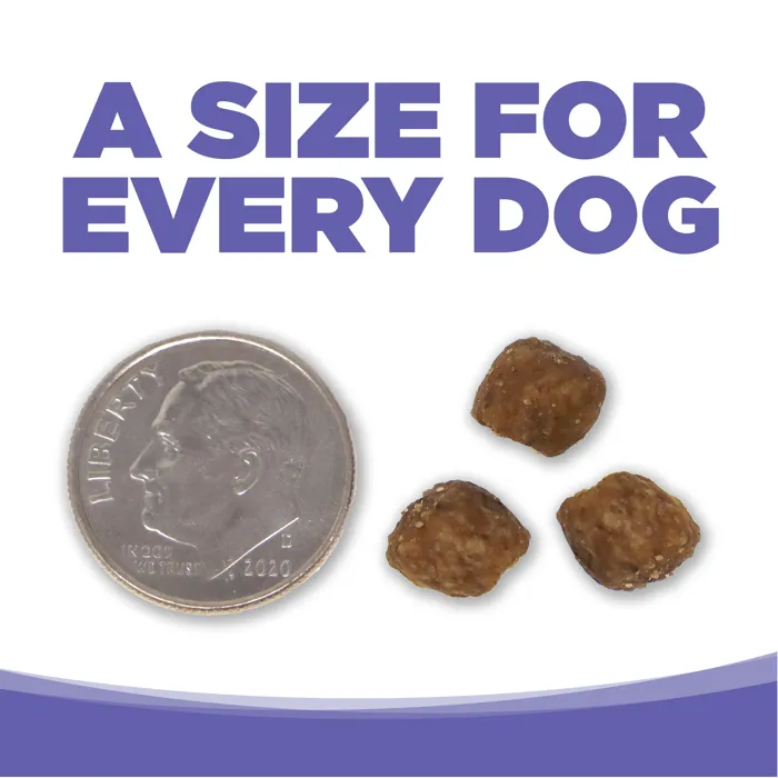 Nutrisource Small & Medium Breed Puppy Ckn Meal & Rice W/ Wholesome Grains Dry Dog Food, 26-lb
