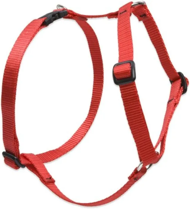 Adjustable Harness 24-38" X 1" Red