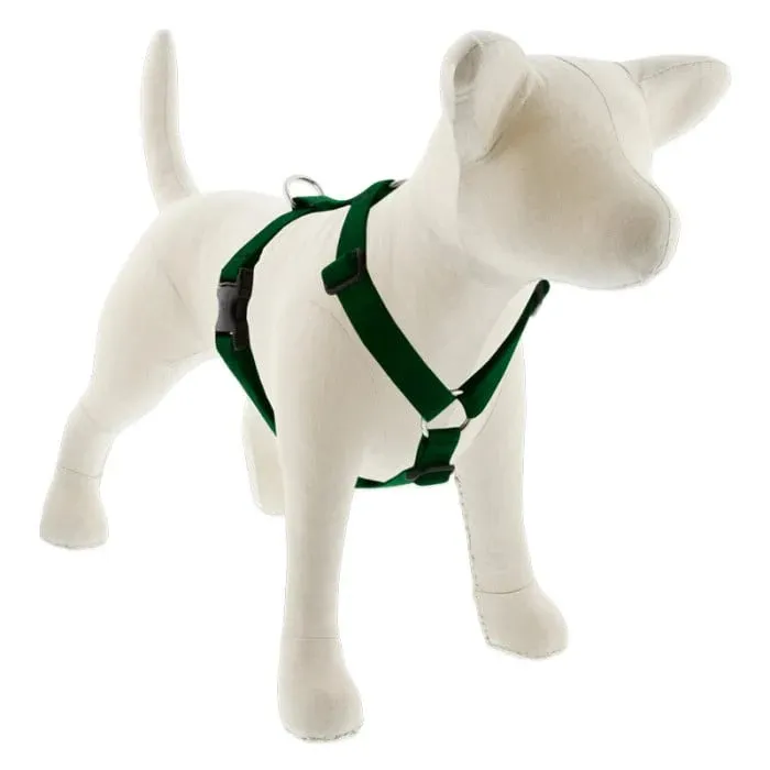 Lupine Basics Roman Harness 24-38" Green 1"