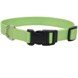 Adjustable Dog Collar With Plastic Buckle - Lime X