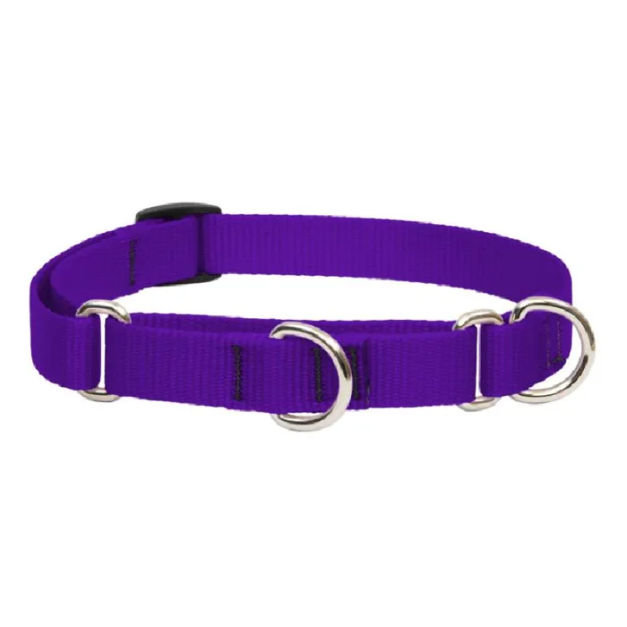Lupine Solids - Martingale 3/4 Purple 10 - 14"