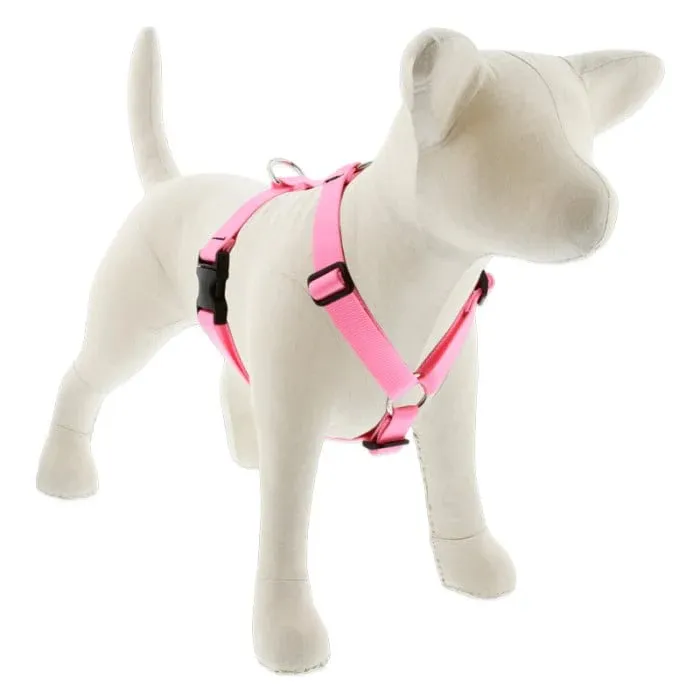 Lupine Basics Roman Harness 24-38" Pink 1"