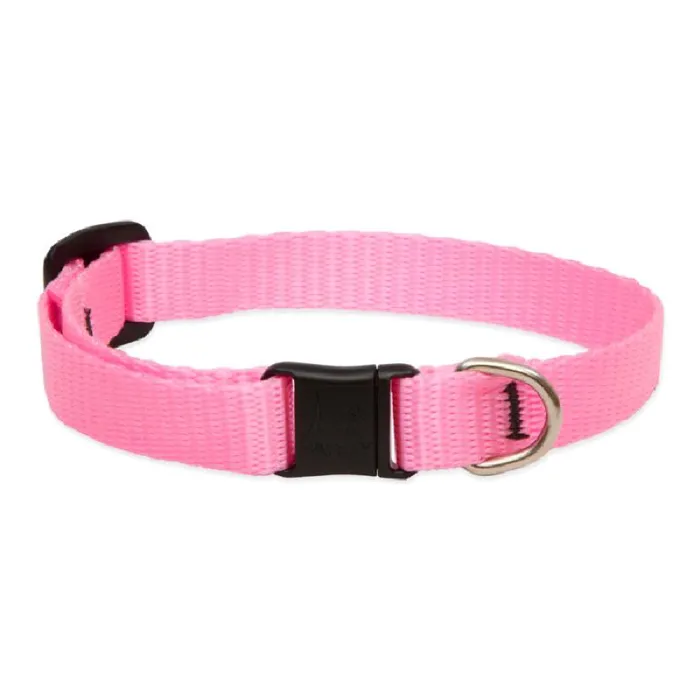 Lupine 1/2" Cat Safety Collar Pink 8"-12"