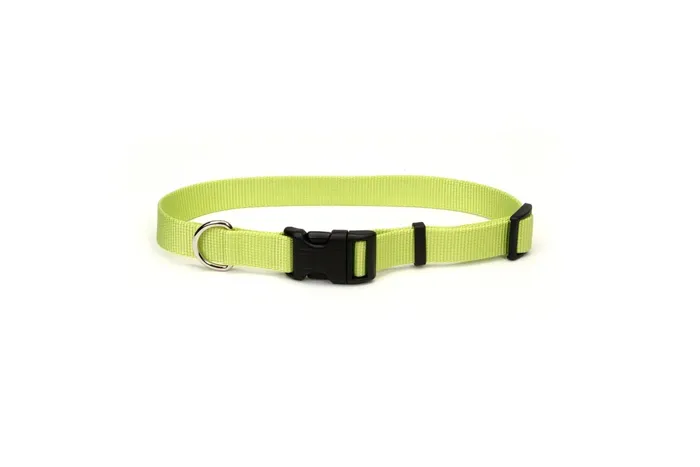 Adjustable Dog Collar With Plastic Buckle - Lime L
