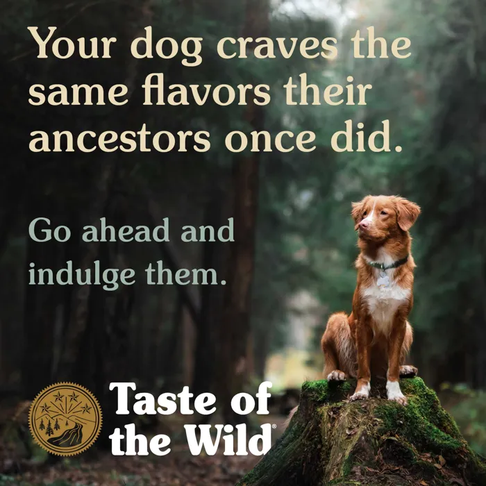 Ancient Wetlands Roasted Fowl & Ancient Grain Recipe Dry Dog Food 14-lb