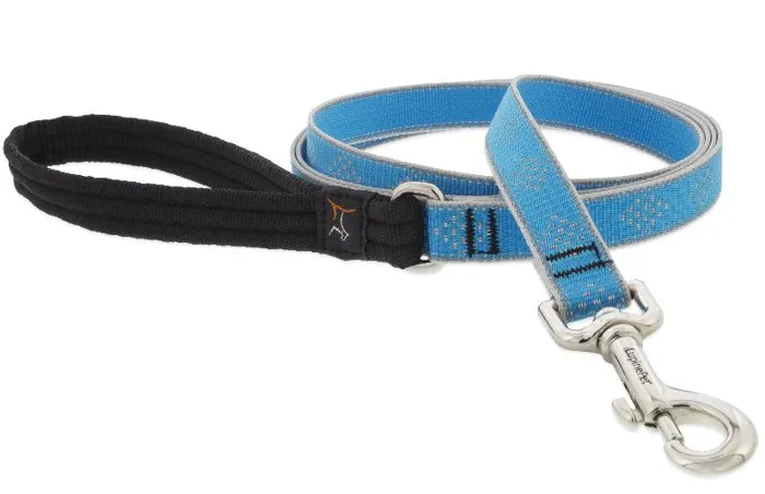1 Inch Blue Diamond Leash 4 Foot