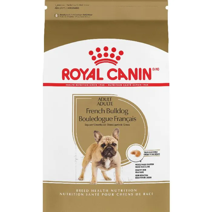 17# Rc Bhn French Bulldog