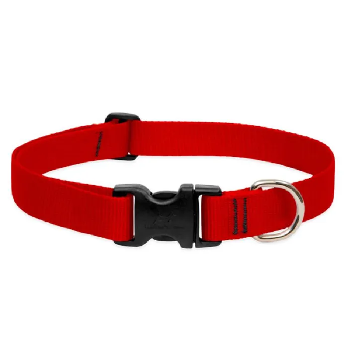 Lupine Collar 16"-28" Red Basic Red 16"-28" 1"