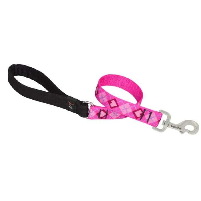 Lead 2' X 1" Puppy Love