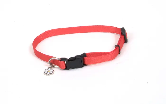 Adjustable Dog Collar - Red 3/8" X 06"-08"