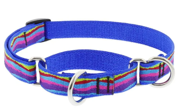 Lupine Martingale 19-27" Ripple Creek