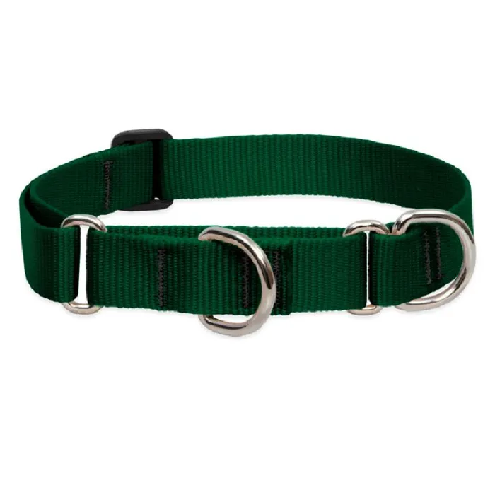 Lupine 1" Martingale Collar Green 19"-27"