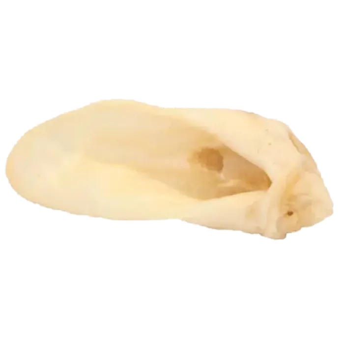 Natural Lamb Ear