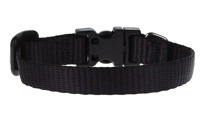 Lupine Collar 6"-9" Black Basic Black 6"-9" 1/2"