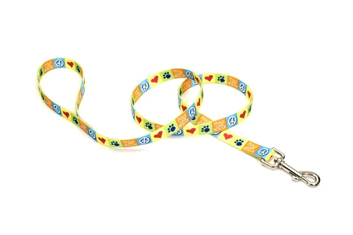 Dog Leash - Resolve 3/4" X 06'