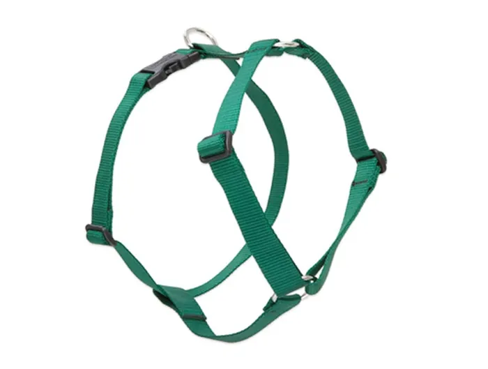 Roman Harness 1/2" Green 9"-14"