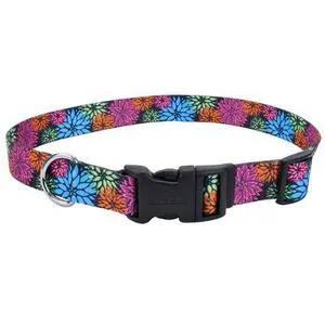Adjustable Dog Collar Wildflower 3/4" X 14 - 20"