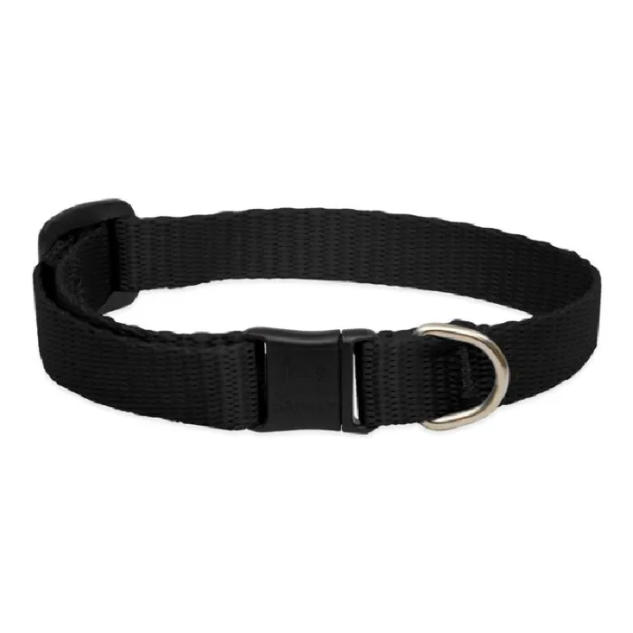Lupine 1/2" Cat Safety Collar Black 8"-12"