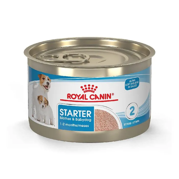 Rc Mother/bbydog Mousse 24/5.1z