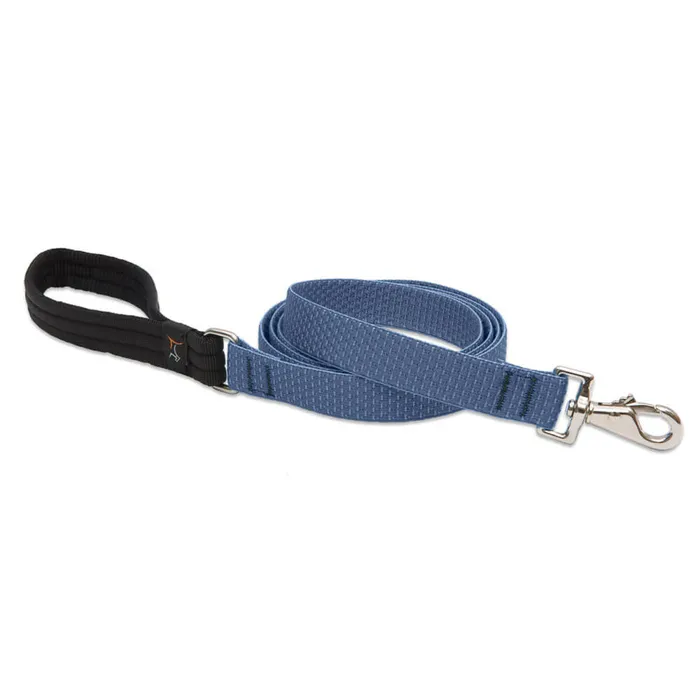 Lupine 1" Mountain Lake 6' Lead