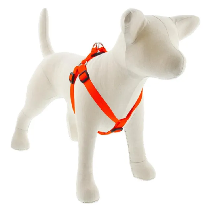 Step-in Harness 20-30" X .75" Blaze Orange