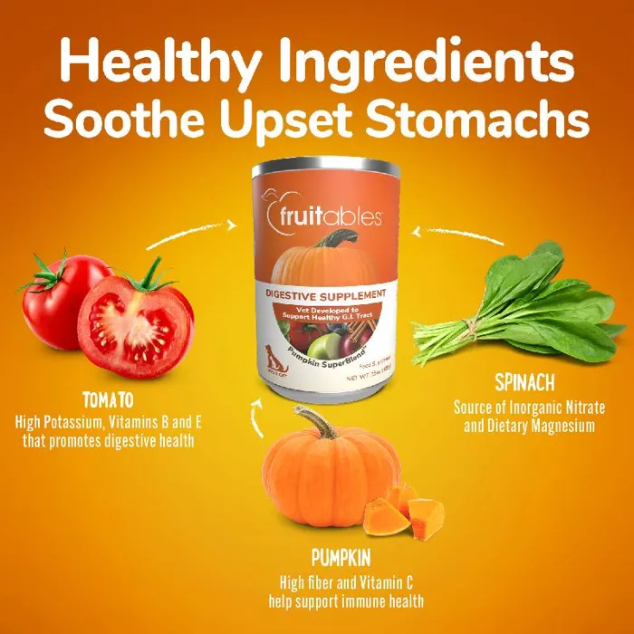 Fruitables Pumpkin Digestive Supplement 15-oz