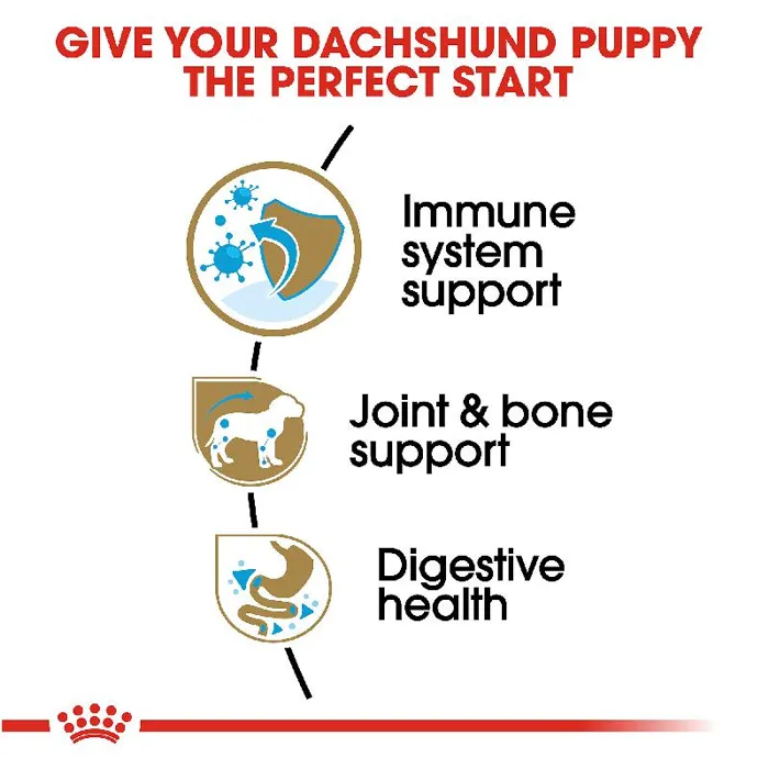 Royal Canin Dachshund Puppy 2.5 Lbs