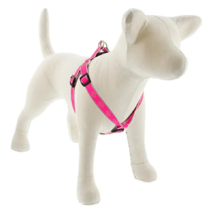 Hl 3/4in Pink-paws 15-21 Step In Hrns