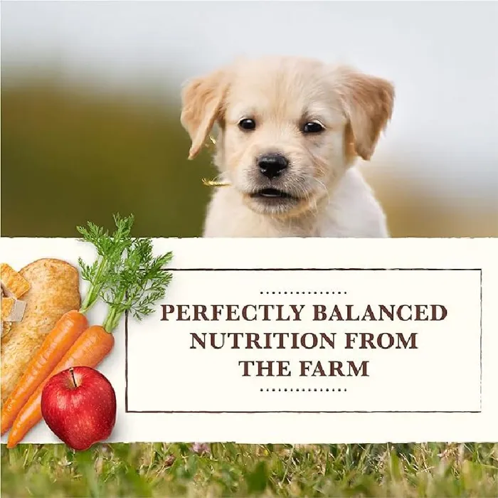 Merrick Whole Earth Farms 12/12.7oz Puppy Recipe (