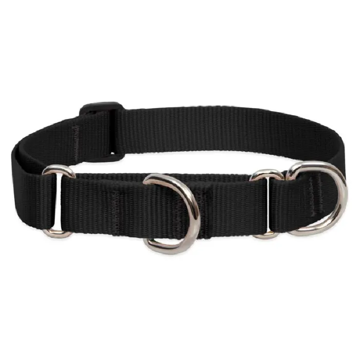 Lupine Combo Collar 1" 15-22" Black