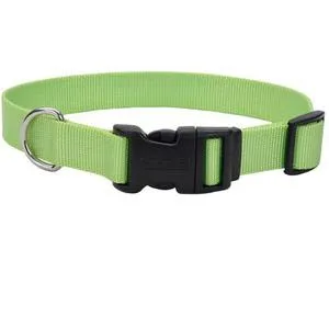 Adjustable Dog Collar With Plastic Buckle - Lime S