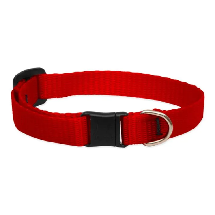 Lupine 1/2" Red 8-12" Cat Collar