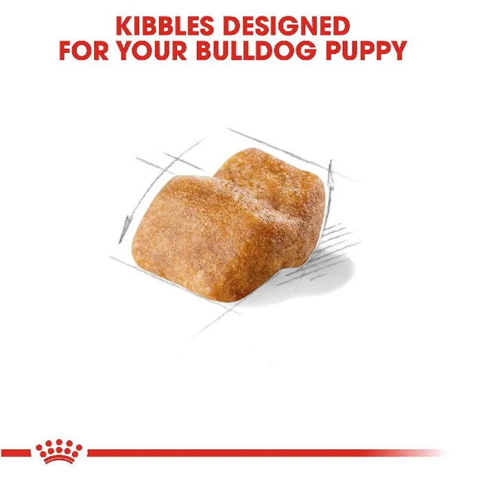 Royal Canin Bulldog Puppy 6-lb