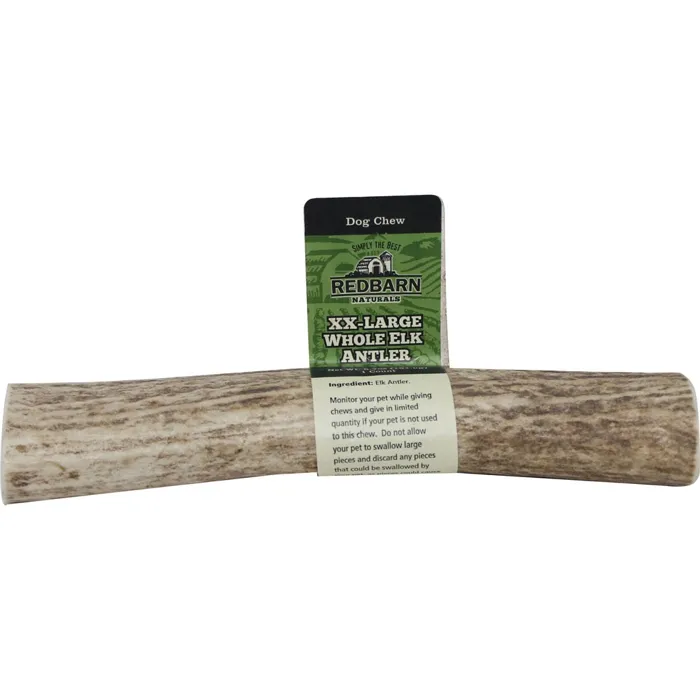 Whole Elk Antler - Xxlrg