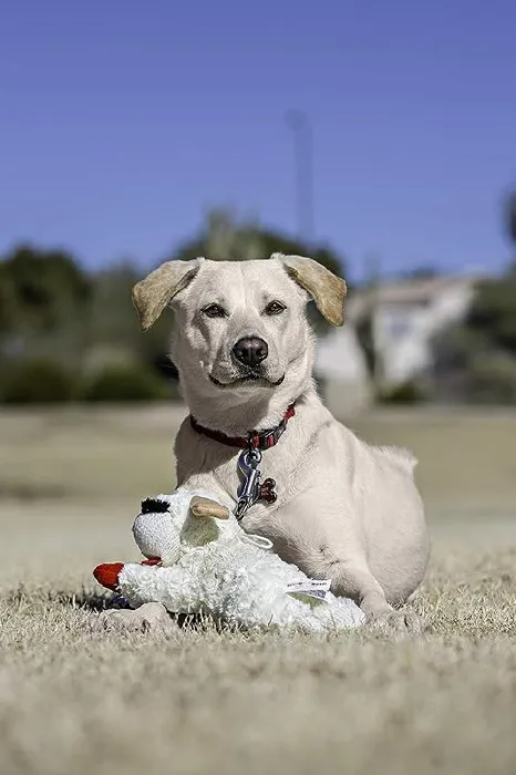 Multipet Lamb Chop Plush Dog 10"