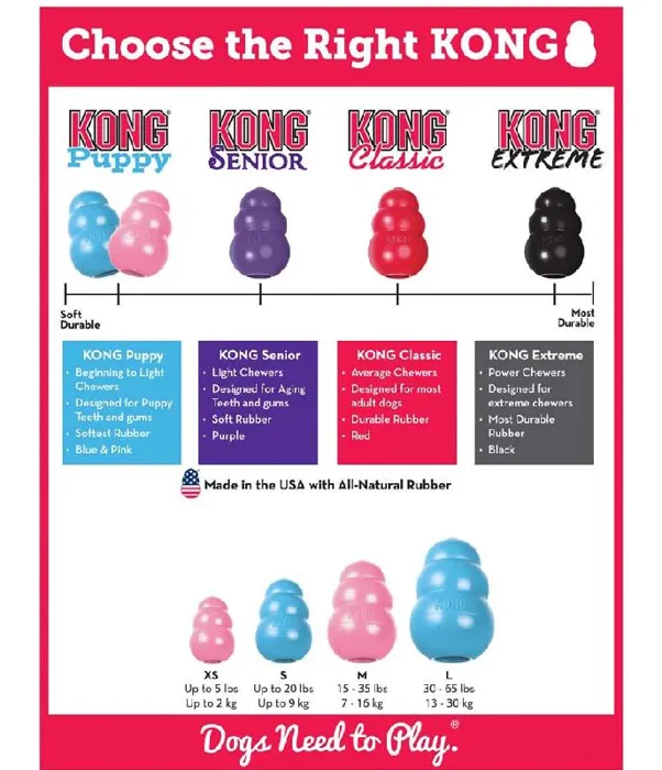 Kong Puppy Toy Classic Large Assorted Colors