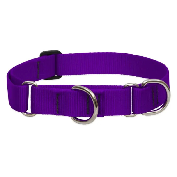 Lupine Adjustable Collar 1" 12-20" Purple