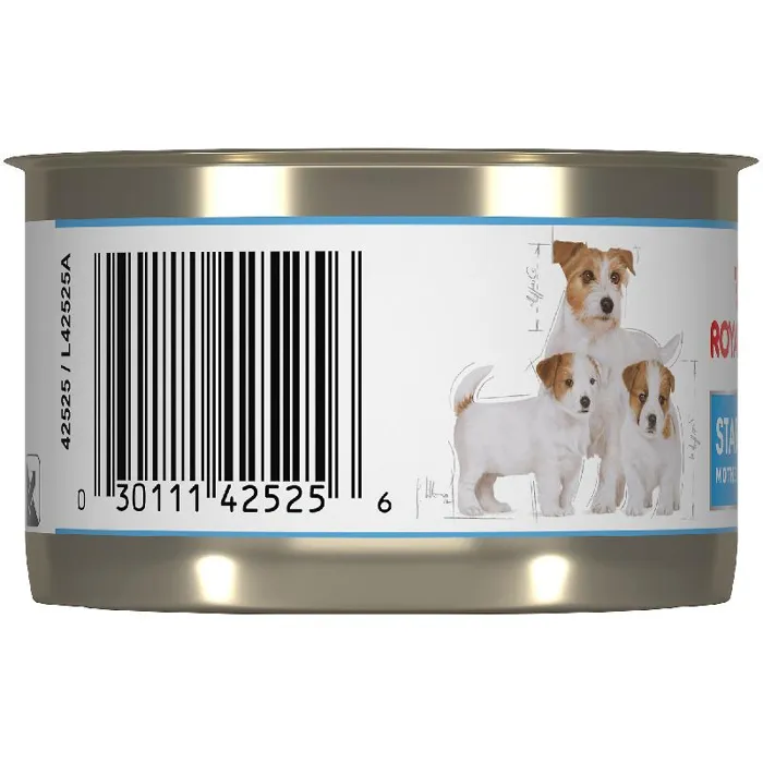 Rc Mother/bbydog Mousse 24/5.1z