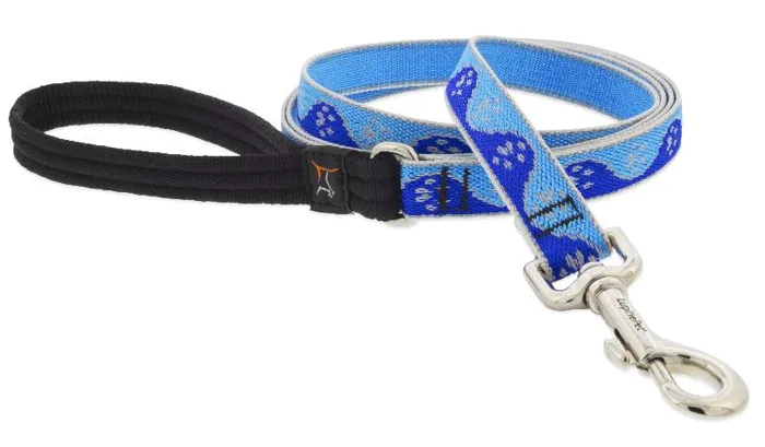 Lupine Lead 6' Hl Blue Paws 1"