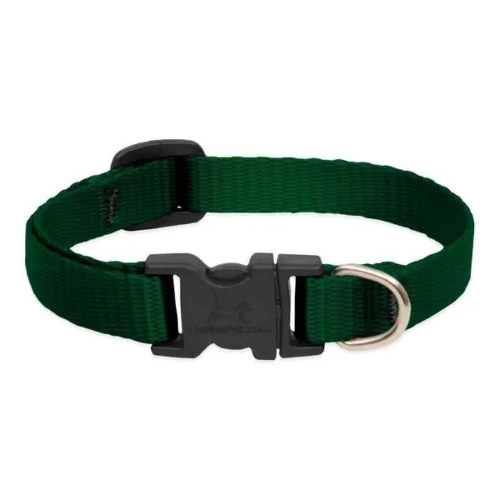 Lupine Basics Collar 8-12" Green