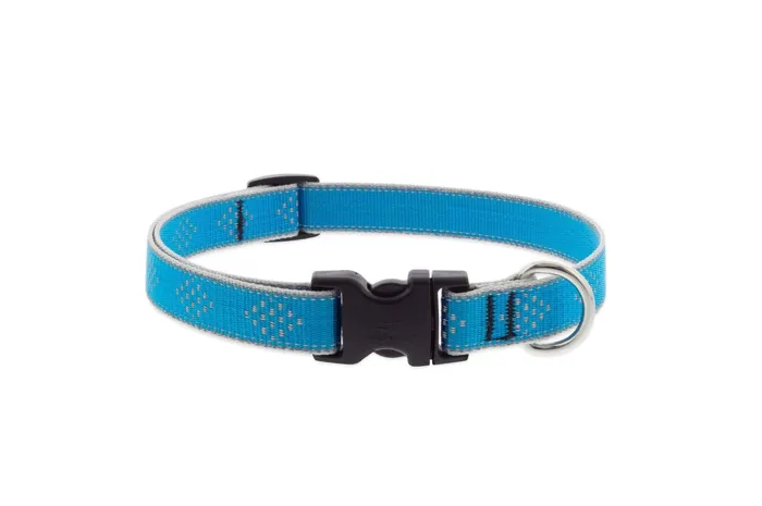 Lupine Collar 9-14" Hl Blue Diamond