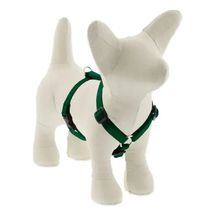 Lupine 1/2" H-style Harness Green 12"-20"