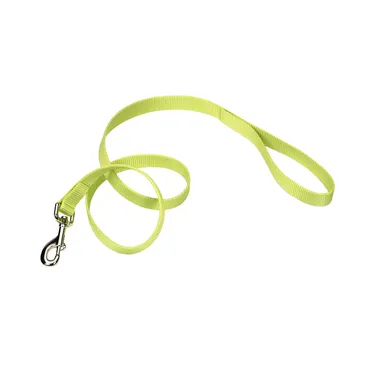 Single-ply Dog Leash Lime Lrg - 1" X 6'