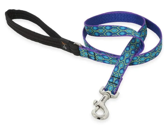 3/4in Rain Song 4ft Leash