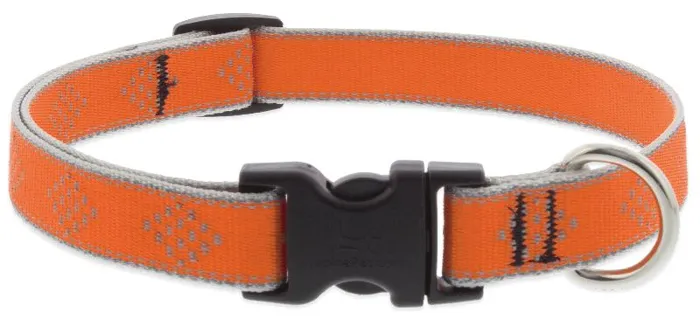 Lupine Collar 8-12" Hl Orange Diamond