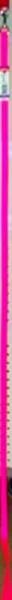 Single Ply Dog Leash - Neon Pink 5/8" X 6'