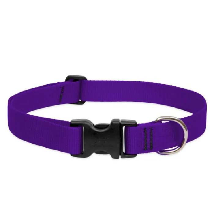 Lupine Adjustable Collar 1" 12-20" Purple