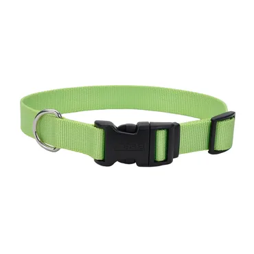 Adjustable Dog Collar With Plastic Buckle Lime Sml - 5/8" X 10"-14"