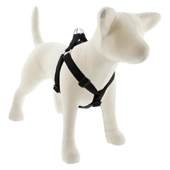 Lupine Step-in Harness 1" 24-38" Black