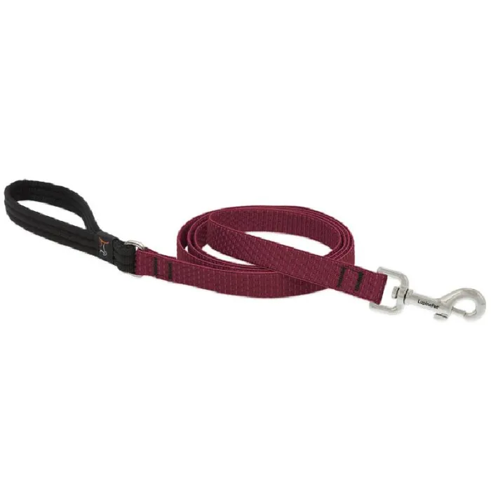 3/4in Berry 4ft Leash